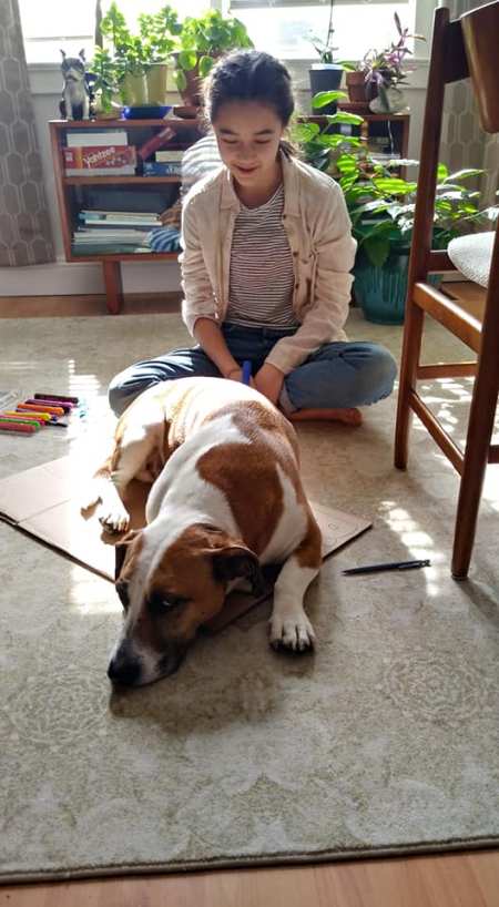 53898208_10155904743601784_3853065562682818560_n